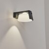 Lafite Solarlamp LED Antraciet, 1-licht, Bewegingsmelder