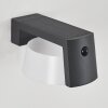 Lafite Solarlamp LED Antraciet, 1-licht, Bewegingsmelder