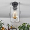 Hunouri Plafondlamp Zwart, 1-licht
