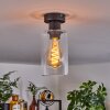 Hunouri Plafondlamp Zwart, 1-licht