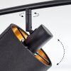 Alsen Plafondlamp Zwart, 6-lichts