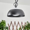Ancemont Buitenhanglamp LED Zwart, 1-licht