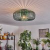 Wemude Plafondlamp Groen, 1-licht