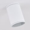Agua Plafondlamp Wit, 1-licht