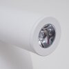 Rukutu Muurlamp LED Wit, 2-lichts