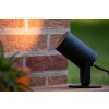 Lucide TAYLOR Tuinspot Zwart, 1-licht