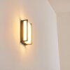 Skove Buiten muurverlichting LED Antraciet, 1-licht Skove Buiten muurverlichting LED Antraciet, 1-licht