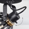 Pocho Plafondlamp Messing, Zwart, 1-licht