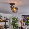 Pocho Plafondlamp Messing, Zwart, 1-licht