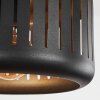Fournie Hanger Zwart, 3-lichts