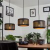 Fournie Hanger Zwart, 3-lichts