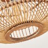 Manteau Hanger Natuurlijke kleuren, 1-licht