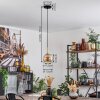Koyoto Hanger Glas 15 cm Goud, Zwart, 1-licht