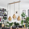 Tobas Hanger Goud, 3-lichts