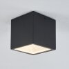 Spidern Buitenshuis plafond verlichting LED Wit, 1-licht