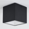 Spidern Buitenshuis plafond verlichting LED Wit, 1-licht