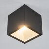 Spidern Buitenshuis plafond verlichting LED Wit, 1-licht