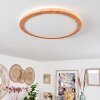 Siguna Plafondpaneel LED houtlook, 1-licht