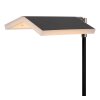 Lucide AARON Staande lamp LED Zwart, 1-licht