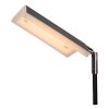 Lucide AARON Staande lamp LED Zwart, 1-licht