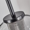 Koyoto Hanger Glas 15 cm roestvrij staal, Zwart, 1-licht