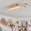 Cajas Plafondlamp LED Natuurlijke kleuren, 3-lichts