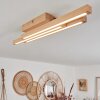 Cajas Plafondlamp LED Natuurlijke kleuren, 3-lichts