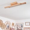 Cajas Plafondlamp LED Natuurlijke kleuren, 2-lichts