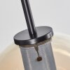 Koyoto Hanger Glas 20 cm roestvrij staal, Zwart, 1-licht