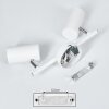 Javel Plafondlamp Wit, 2-lichts