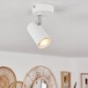 Javel Plafondlamp Wit, 1-licht