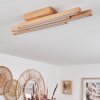 Cajas Plafondlamp LED Natuurlijke kleuren, 4-lichts