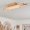 Cajas Plafondlamp LED Natuurlijke kleuren, 4-lichts