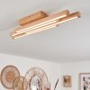 Cajas Plafondlamp LED Natuurlijke kleuren, 4-lichts