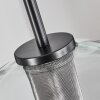 Koyoto Hanger Glas 25 cm roestvrij staal, Zwart, 1-licht