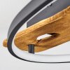 Nevogilde Plafondlamp LED Natuurlijke kleuren, 1-licht