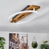 Nevogilde Plafondlamp LED Natuurlijke kleuren, 1-licht