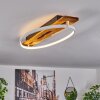 Nevogilde Plafondlamp LED Natuurlijke kleuren, 1-licht