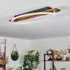 Nevogilde Plafondlamp LED Natuurlijke kleuren, 1-licht
