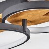 Nevogilde Plafondlamp LED Natuurlijke kleuren, 1-licht