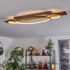 Nevogilde Plafondlamp LED Natuurlijke kleuren, 1-licht