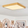Broglen Plafondpaneel LED Goud, 1-licht Broglen Plafondpaneel LED Goud, 1-licht