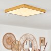 Broglen Plafondpaneel LED Goud, 1-licht Broglen Plafondpaneel LED Goud, 1-licht