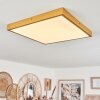 Broglen Plafondpaneel LED Goud, 1-licht Broglen Plafondpaneel LED Goud, 1-licht