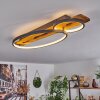 Nevogilde Plafondlamp LED Natuurlijke kleuren, 1-licht
