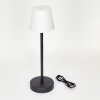 Maza Tafellamp voor buiten LED Zwart, 1-licht