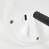 Maza Tafellamp voor buiten LED Zwart, 1-licht