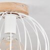 Pajalta Plafondlamp Natuurlijke kleuren, 1-licht