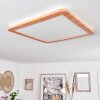 Siguna Plafondpaneel LED houtlook, 1-licht