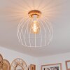 Pajalta Plafondlamp Natuurlijke kleuren, 1-licht